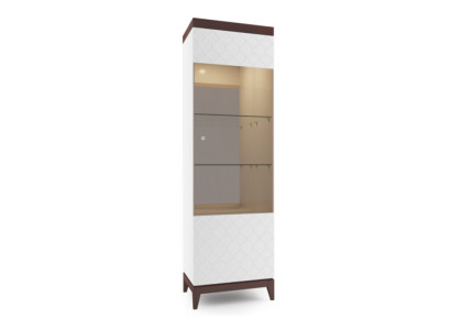 Moderno armario de cristal para vitrinas de diseño.