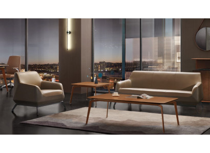 Sofá sofá conjunto de sofá almohadones sofás sofás conjuntos de asientos