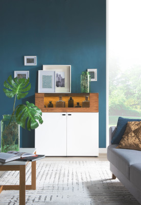 Cómoda de roble Vitrina Cómodas Vitrinas Armario de cómoda Armario de diseñador