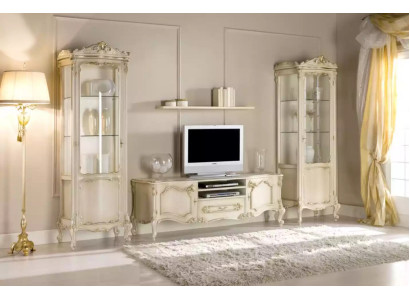 Sala de estar conjunto de mueble de pared grupo mueble bajo vitrina 4 piezas. Mueble de madera estante.