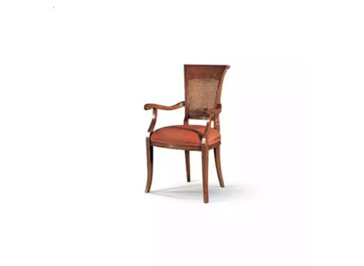 Textil de lujo Silla de comedor con reposabrazos Silla de comedor Diseño