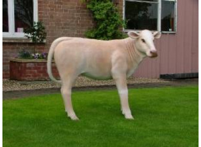 Diseñador de figura abstracta moderna decorativa de plástico para jardín. Esculturas.