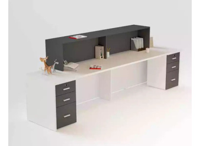 Recepción de lujo en un estilo moderno hecho de materiales de alta calidad.