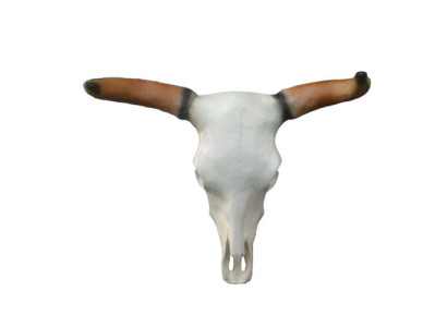 Cráneo de toro Cabeza de toro Esculturas de pared Altura 64 cm Figura decorativa de pared Decoración de pared