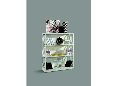 Clásica estantería de libros en estilo barroco. Armario con estantes de diseño italiano.