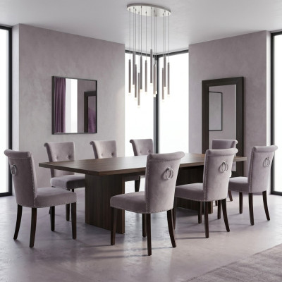 8x Silla acolchada Asiento Sillas Silla Conjunto de salón Sillón Salón Club Set
