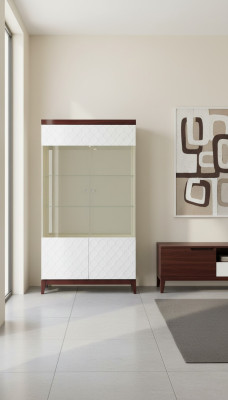 Vitrina de diseño moderno Armario de vidrio Gabinete de vitrinas Vitrina Mostrador Decorativo