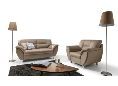 El elegante sofá clásico de dos plazas de estilo modernista encaja en cualquier interior.