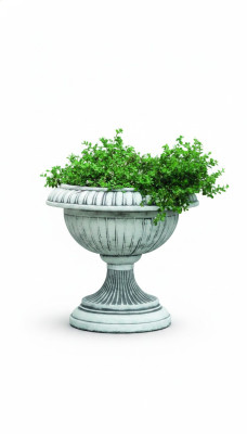 Maceta para plantar flores decorativas, figuras para jardín, jarrones de naturaleza.