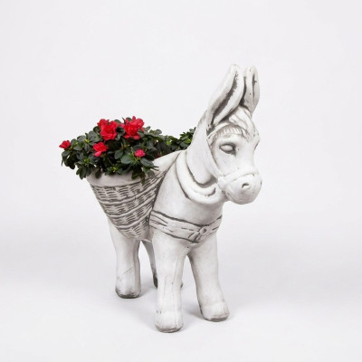 Maceta de flores decorativa de figura natural para jardineras y macetas de jardín.
