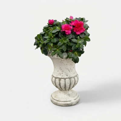 Maceta de flores natural, maceta de plantas decorativa figura macetas jardín jarrones.