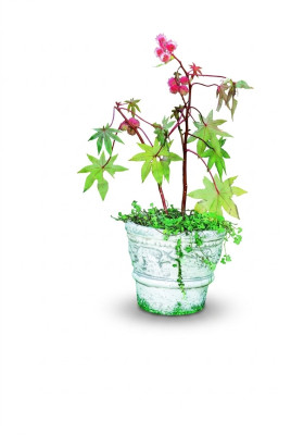 Maceta de flor, maceta para plantar, decoración natural, figura macetero, jarrones, jardín.