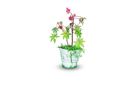 Maceta de flor, maceta para plantar, decoración natural, figura macetero, jarrones, jardín.