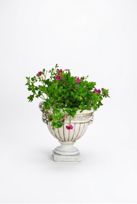 Maceta de flores planta naturaleza cubo decoración figura jarrones macetas jardín.