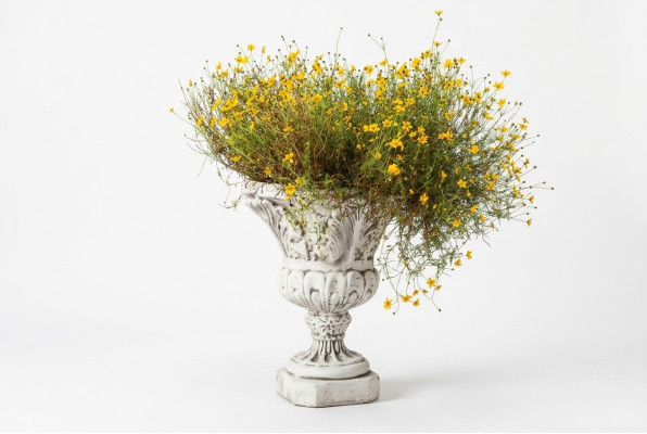 Maceta de flores natural, maceta de plantas para decoración, figura de jarrón, macetas para jardín.