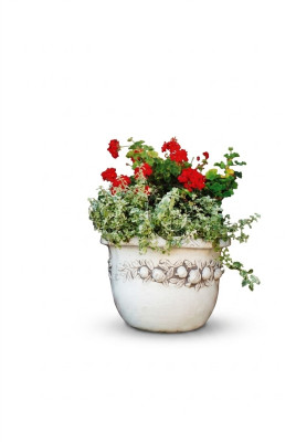 Maceta de flores, maceta de plantas, decoración de figuras naturales, jarrones de jardín, macetas de flores.