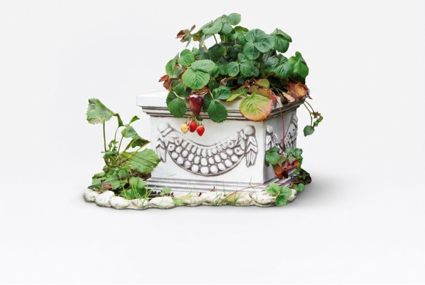 Maceta de flores planta naturaleza maceta decoración figura jarrones jardín macetas de flores.