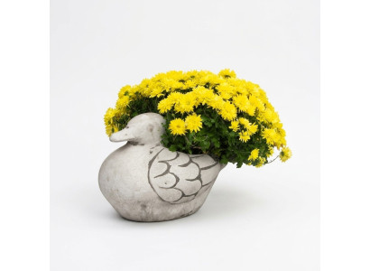 Maceta de flores natural, planta, cubo de decoración de jardín de figura Jarrones de macetas de jardín.