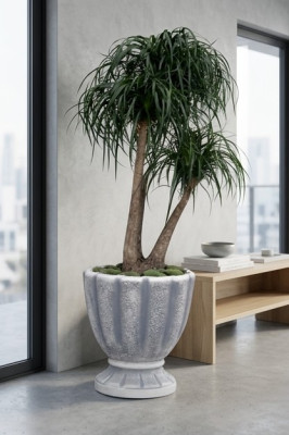Diseño maceta decorativa planta cubo recipiente olla figura cara escultura.