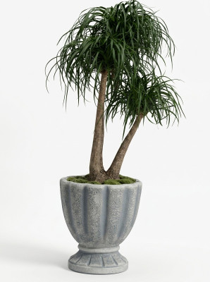 Diseño maceta decorativa planta cubo recipiente olla figura cara escultura.