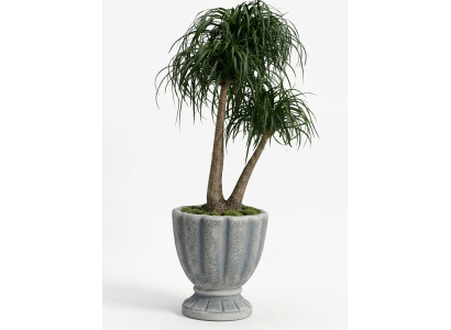 Diseño maceta decorativa planta cubo recipiente olla figura cara escultura.