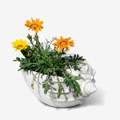 Diseño maceta superior Planta balde Decorativo recipiente macetas Figura Rostro