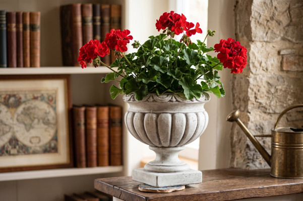 Diseño Maceta Superior Planta Decorativo Cubo Vaso Macetas Figura Rostro