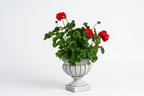 Diseño Maceta Superior Planta Decorativo Cubo Vaso Macetas Figura Rostro