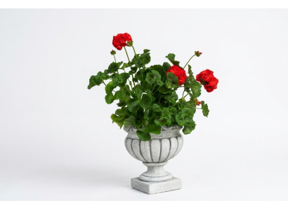 Diseño Maceta Superior Planta Decorativo Cubo Vaso Macetas Figura Rostro