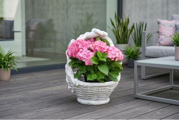 Maceta de flores, maceta de plantación, decoración, jardín natural, figura de jardín, jarrones, macetas de flores.