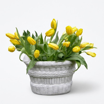 Diseño Maceta Top Decorativa Maceta de Plantas Cubeta Recipiente Macetas Figura Rostro