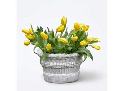 Diseño Maceta Top Decorativa Maceta de Plantas Cubeta Recipiente Macetas Figura Rostro