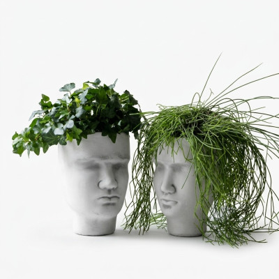 Diseño Maceta Cima Planta Cubo Vaso Figura Decorativa Macetas Cara Escultura