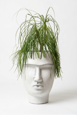 Diseño maceta maceta de planta cubo de planta decoración figura macetas cara escultura