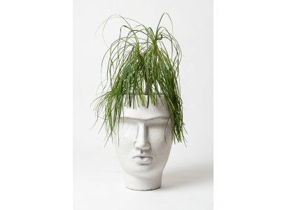 Diseño maceta maceta de planta cubo de planta decoración figura macetas cara escultura