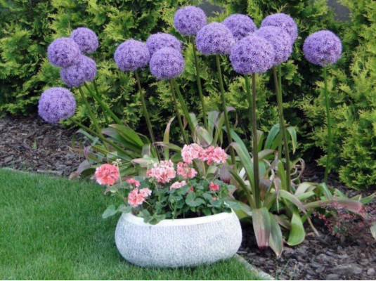 Maceta de flores natural para plantas, decoración de jardín, jarrones, figuras, macetas de flores.