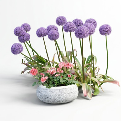Maceta de flores natural para plantas, decoración de jardín, jarrones, figuras, macetas de flores.