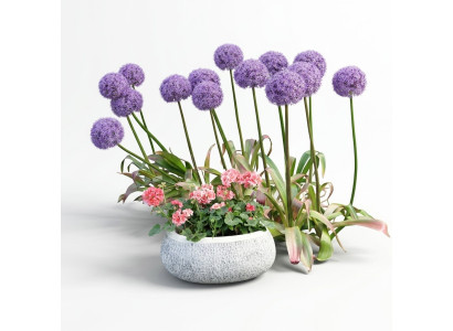 Maceta de flores natural para plantas, decoración de jardín, jarrones, figuras, macetas de flores.