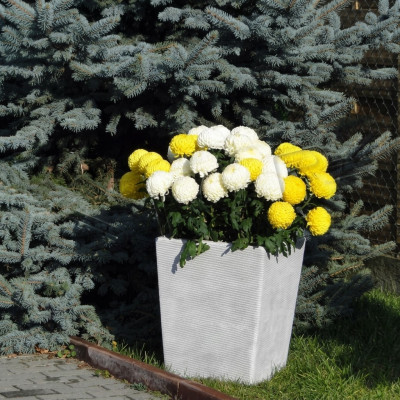 Maceta de flores Maceta de plantación Decoración Jarrón de jardín Figura de naturaleza Macetas de flores