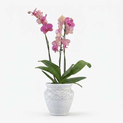 Cesta de flores figuras flor jarrón estatua recipiente jardín terraza decoración