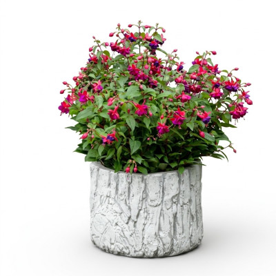 Maceta para plantar de flores Decoración natural Jarrones Jardín Figura Macetas de flores