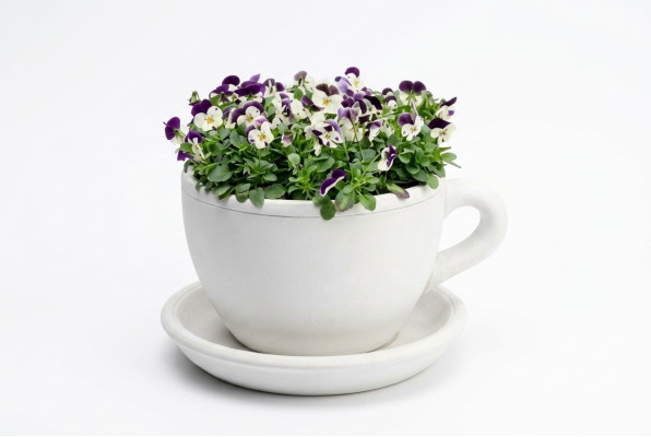 Maceta de flores Cubo de plantación Natural Decoración Jarrones Figura Jardín Macetas de flores