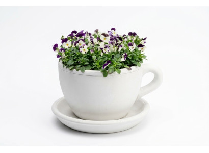 Maceta de flores Cubo de plantación Natural Decoración Jarrones Figura Jardín Macetas de flores