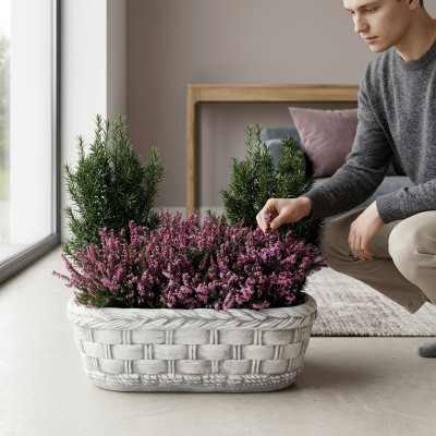 Maceta de plantas naturales para decoración de jardín, jarrones, macetas, figuras