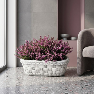 Maceta de plantas naturales para decoración de jardín, jarrones, macetas, figuras