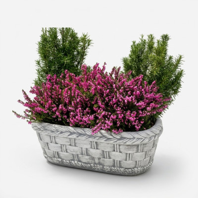 Maceta de plantas naturales para decoración de jardín, jarrones, macetas, figuras