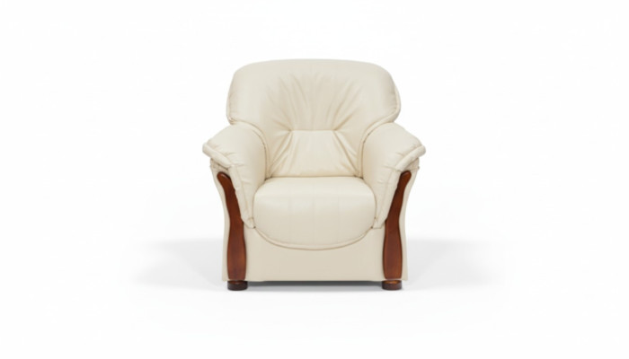 Sillón clásico. Sofá de televisión de 1 plaza. Sofá de diseñador de tela.