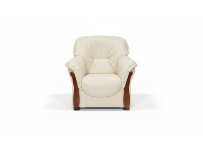 Sillón clásico. Sofá de televisión de 1 plaza. Sofá de diseñador de tela.