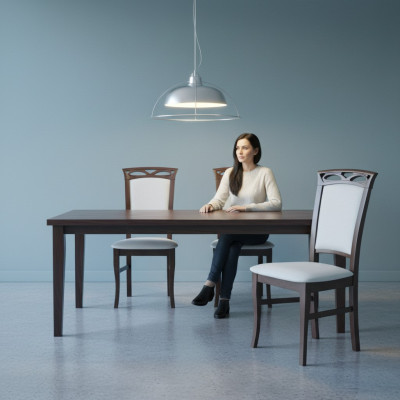 MADERA MACIZA SILLA DECORATIVA MODERNA SILLA DE COMEDOR DE MADERA DISEÑO DE SILLA DISEÑADOR SILLAS