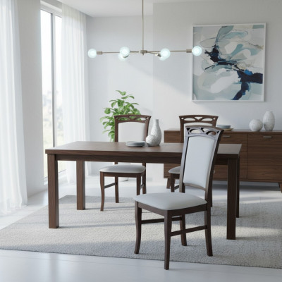 MADERA MACIZA SILLA DECORATIVA MODERNA SILLA DE COMEDOR DE MADERA DISEÑO DE SILLA DISEÑADOR SILLAS